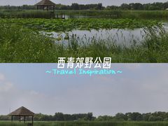 -西青郊野公园