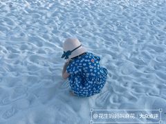 -武清南湖绿博园