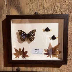 -Zoolung Zoolung动物主题公园(海信广场店)