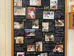 -小时光咖啡馆(开森度假森林店)