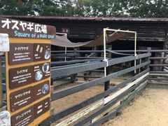 -神户市立六甲山牧场