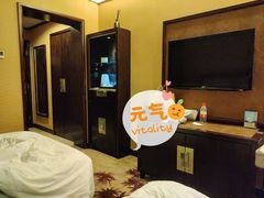 -长沙小天鹅戴斯酒店