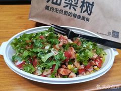 -油梨树 AVOCADO TREE(亮马桥店)