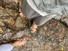 -呀诺达热带雨林