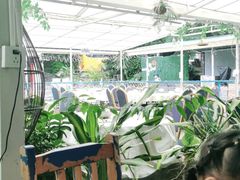 -芭厘农庄老字号·清远鸡