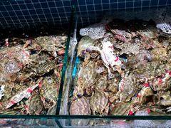-蓝珊甄选海鲜自助·火锅大排档(近阿那亚店)