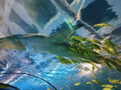 -太平洋海底世界