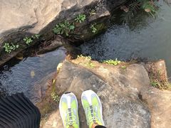 -云溪植物园