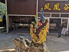 -梦幻奥陶纪景区