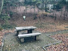 -上海佘山国家森林公园天马山园