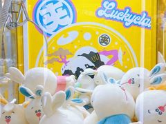 -+WAWA夹娃娃专门店·抓娃娃