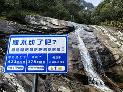 -青峰峡国家森林公园