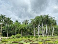 -中国科学院西双版纳热带植物园