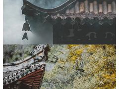 -天台山景区