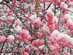 -贵阳市花溪国家城市湿地公园