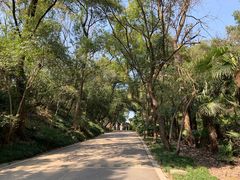 -蜀冈西峰生态公园