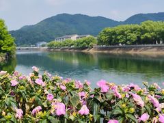-蒋氏故居