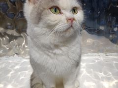 -极木²邸 人与宠物·互动社区
