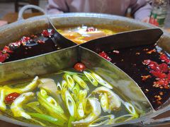 -白乐天毛肚火锅馆(南滨路店)