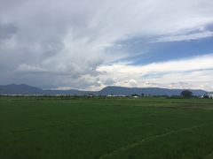 -喜林苑·稻田餐厅(品相府店)