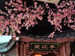 -荷塘秋月·本帮江浙菜(国权路店)