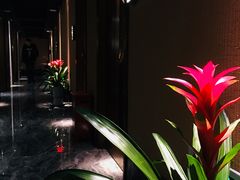 -君悦会影院足道·SPA•推拿(江桥店)