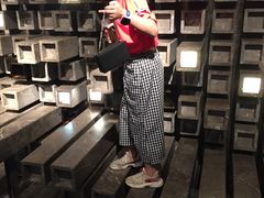 -武商摩尔影城(国广IMAX激光店)
