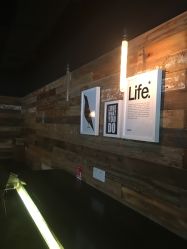 -红钻石(明日星城店)