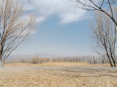 -野鸭湖国家湿地公园