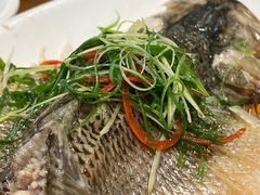 -周锦记广式餐厅