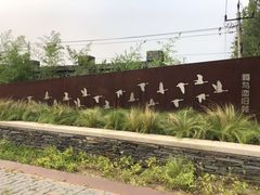 公园东门入口处-东郊湿地公园