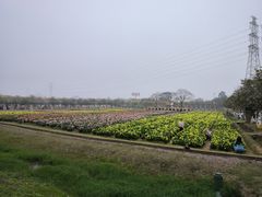 -盈香心动乐园