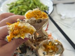 -蟹天蟹地农家菜·阳澄湖大闸蟹(浅水湾店)