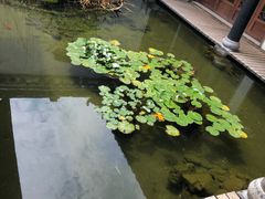 -膳和缘炒鸡店(南门路店)