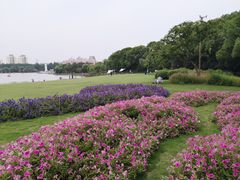 -黄兴公园