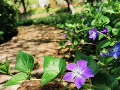 -白塘生态植物园