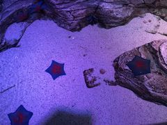 -沈阳海洋探索中心