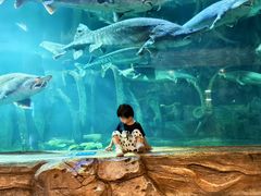 -华夏文旅海洋公园