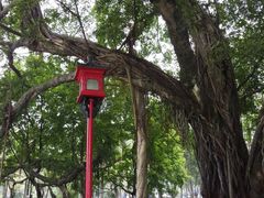 -广州中山纪念堂