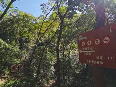 -大岭沟猕猴桃谷风景区