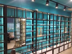 -Trend1881视光·蔡司视觉(领展广场店)