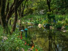 -上海共青森林公园