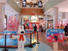 -金光华广场