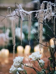 -美薇亭婚礼顾问