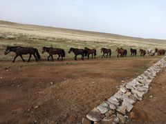 希拉穆仁大草原-希拉穆仁草原