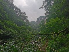 -青峰峡国家森林公园