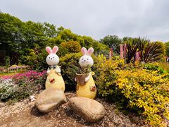 -上海共青森林公园