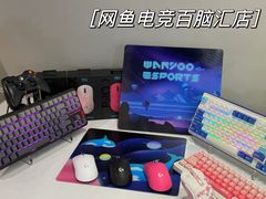-网鱼电竞(广州百脑汇店)