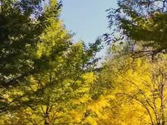 -长白岛森林公园