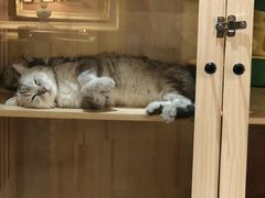 -樹下遇见树·咖啡